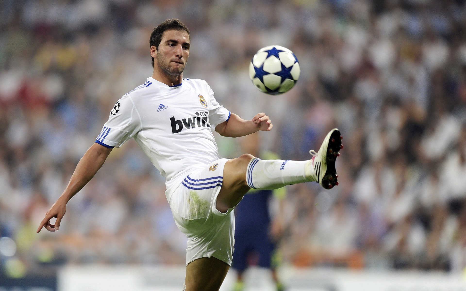 体育新闻中心推动体育赛事多语言直播技术研发,播放体育新闻